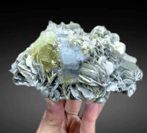 Gemstone Spicemens